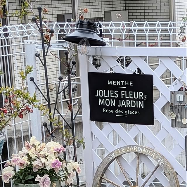 purpureさんの部屋