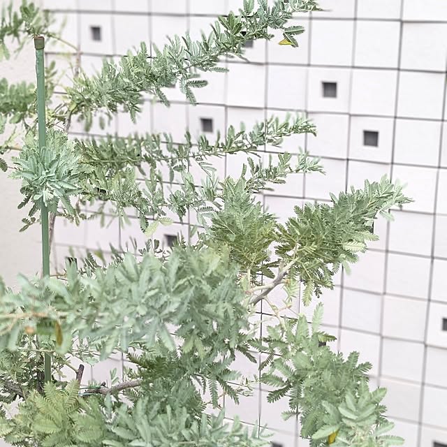 a.co.さんの実例写真