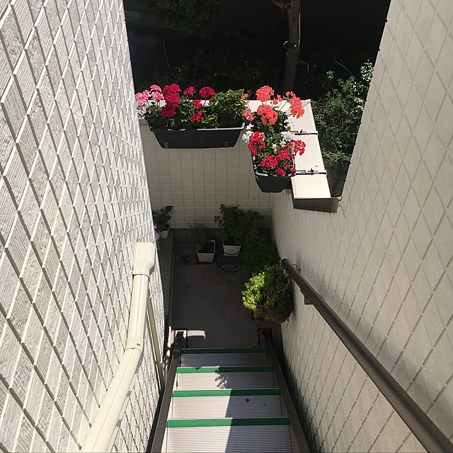 sasaさんの実例写真