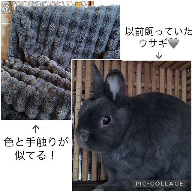 mamisazさんの部屋