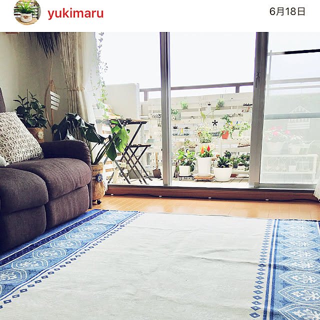 yukimaruさんの実例写真