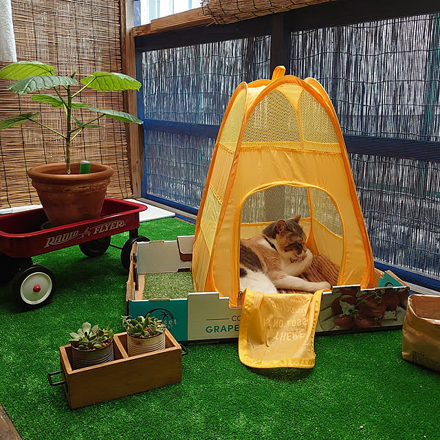fukuさんの実例写真