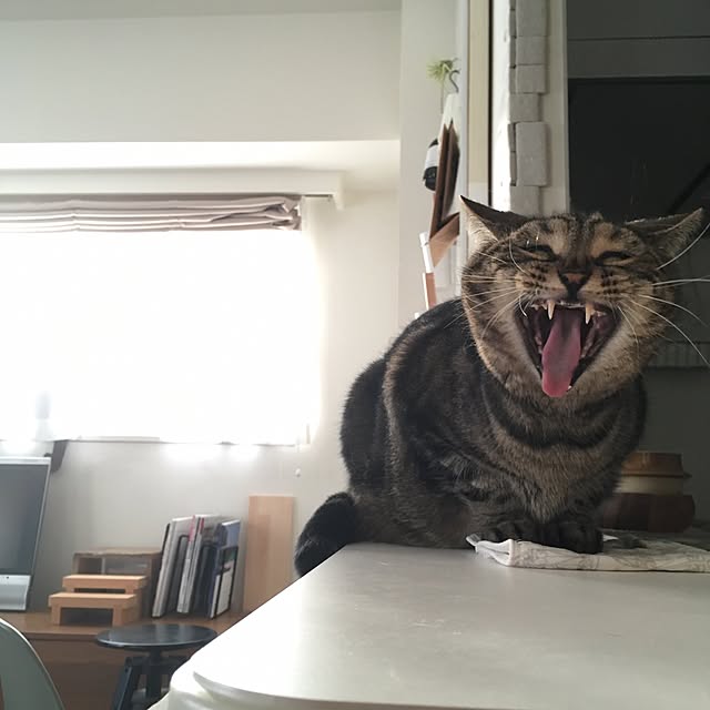 mikomaruさんの実例写真