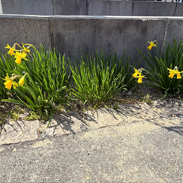 alchoさんの部屋