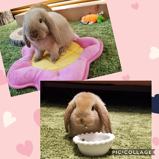 kominka_Lifeさんの実例写真