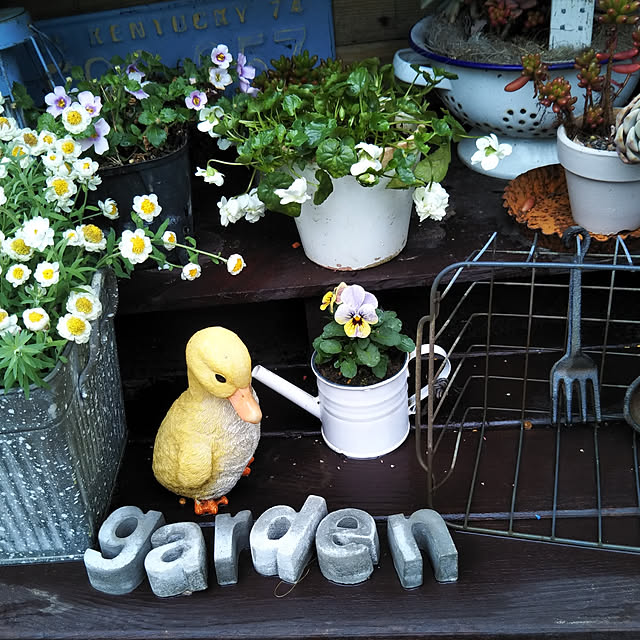 yukkoさんの実例写真