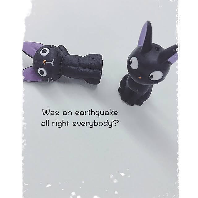 nodokaさんの実例写真
