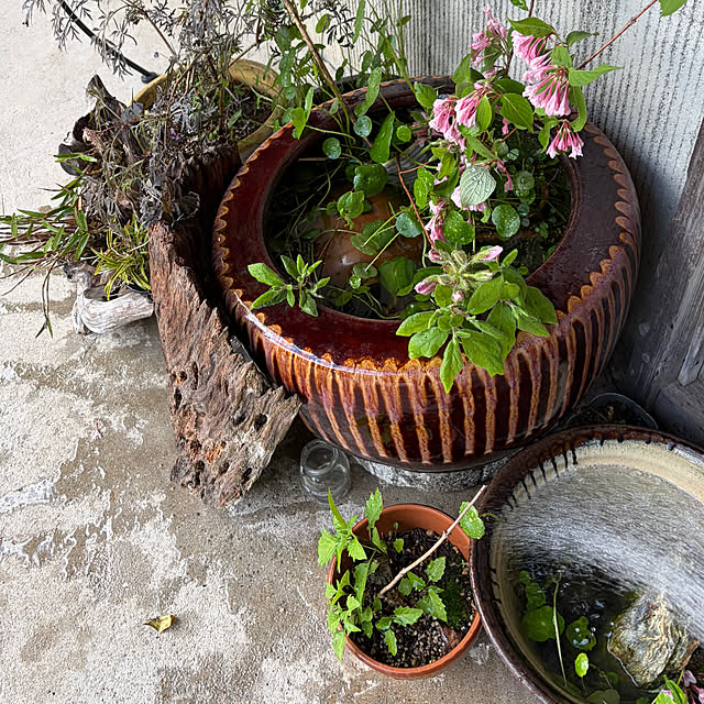 cotaさんの部屋