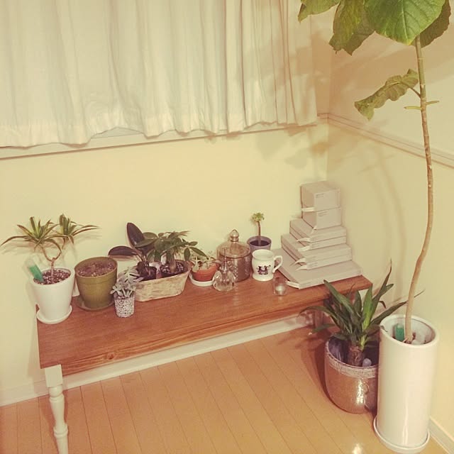 実例写真