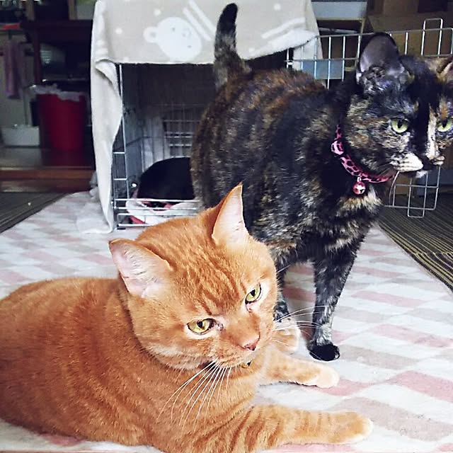 37さんの実例写真