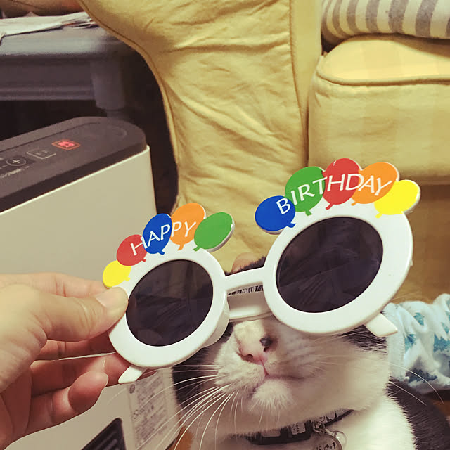 chiisoftさんの実例写真