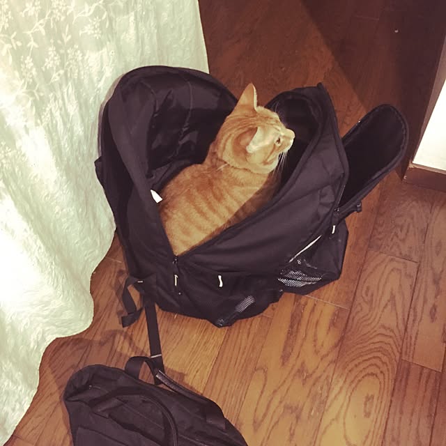 aknmamaさんの実例写真