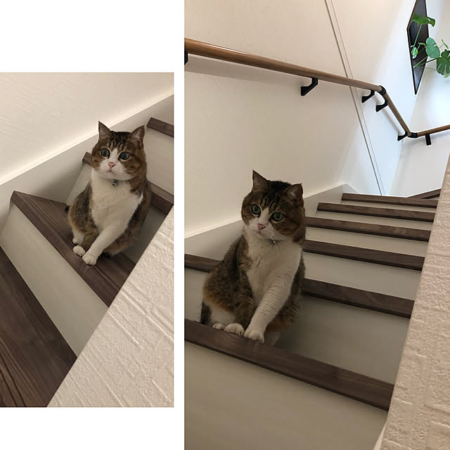chacoさんの実例写真