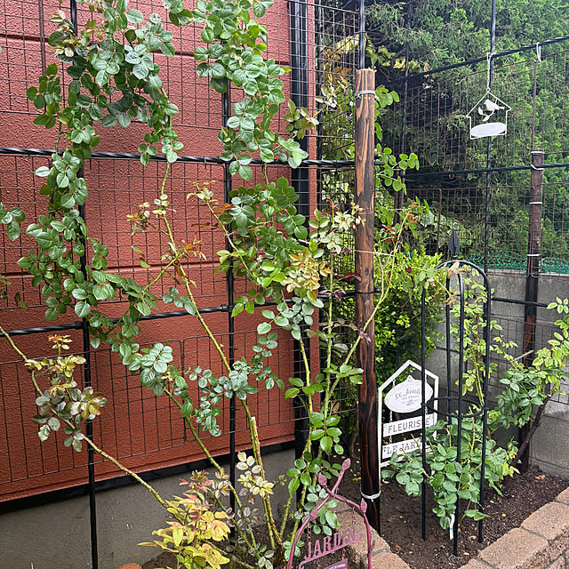RoseLife5818さんの部屋