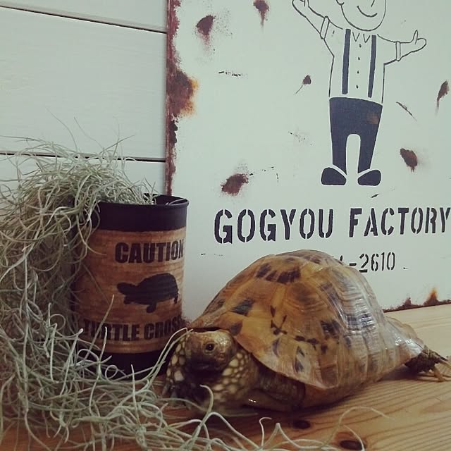 UGさんの実例写真