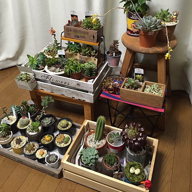 tomo26さんの実例写真