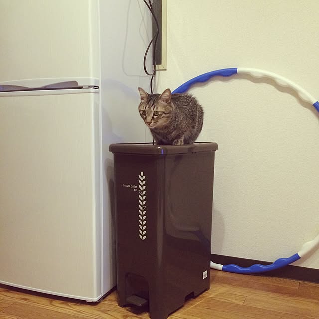 Esunoさんの実例写真