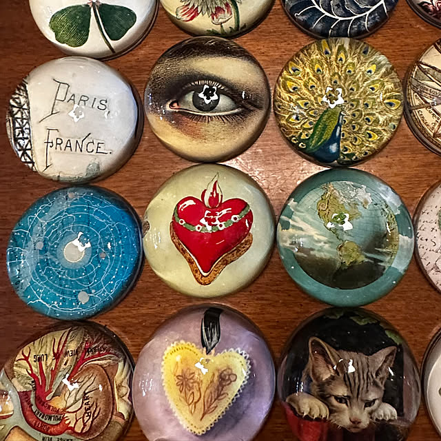 okyame-chanさんの部屋