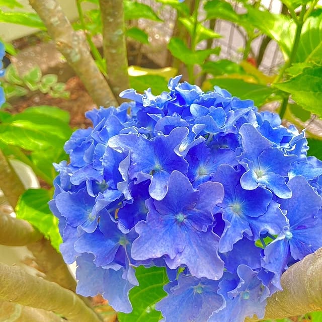 min_nimさんの実例写真