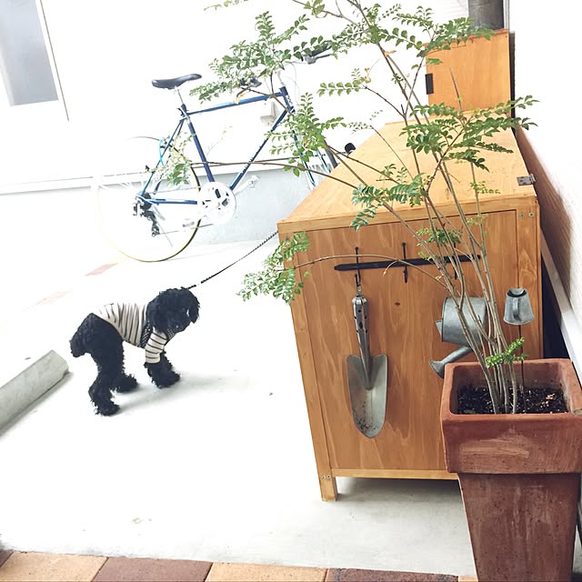 megさんの実例写真