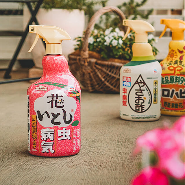 apikoさんの実例写真