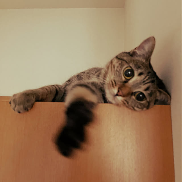 Mさんの実例写真