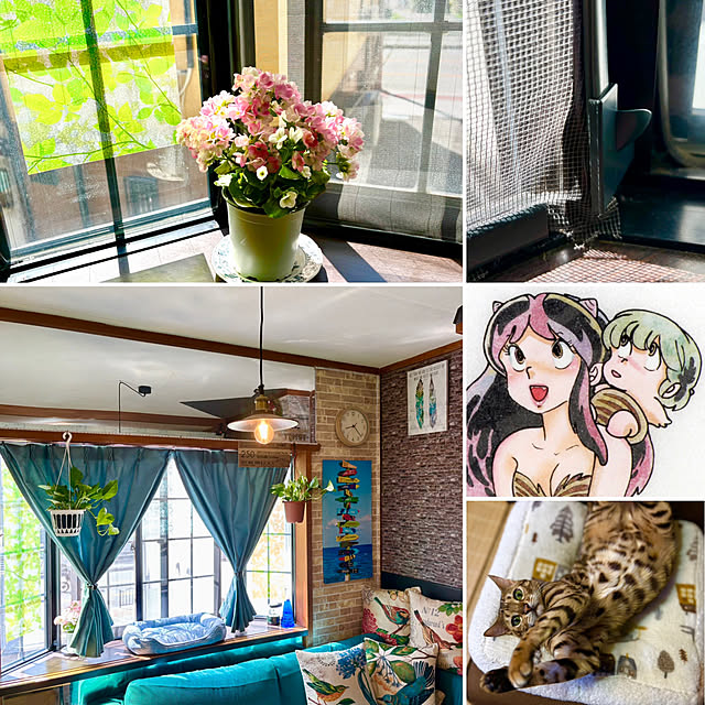 tututu0204さんの部屋