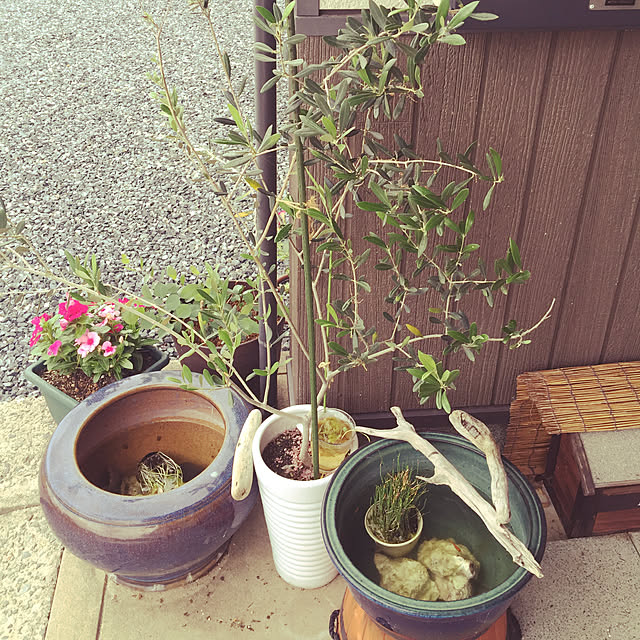 makiyosiさんの実例写真