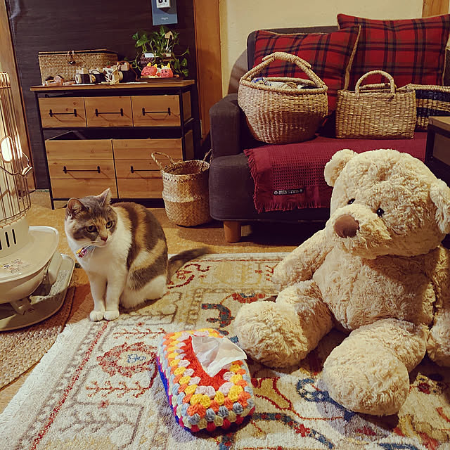 fukuさんの実例写真