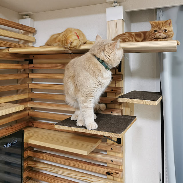 nimさんの実例写真