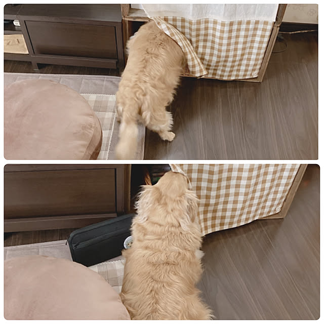 -Riley-mama.-さんの実例写真