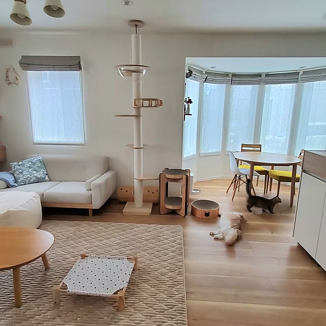 部屋全体/ミックスインテリア/北欧ナチュラル/ねこと暮らす/ねこのムーン...などのインテリア実例 - 2023-06-21 17:18:16