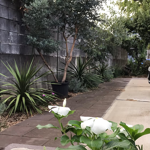 houenさんの部屋