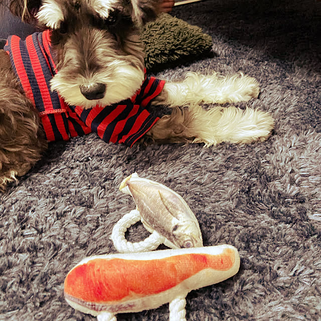 10megu10haruさんの実例写真