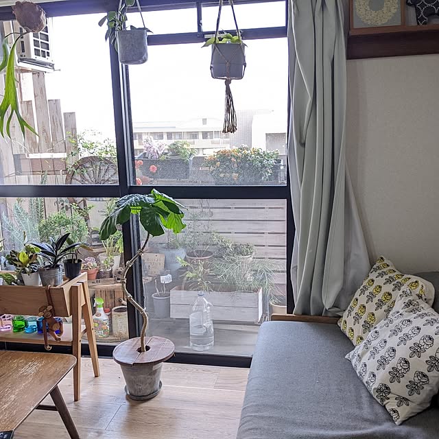 ichi.さんの部屋