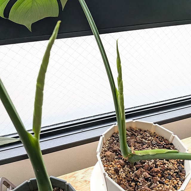 kolo92さんの部屋
