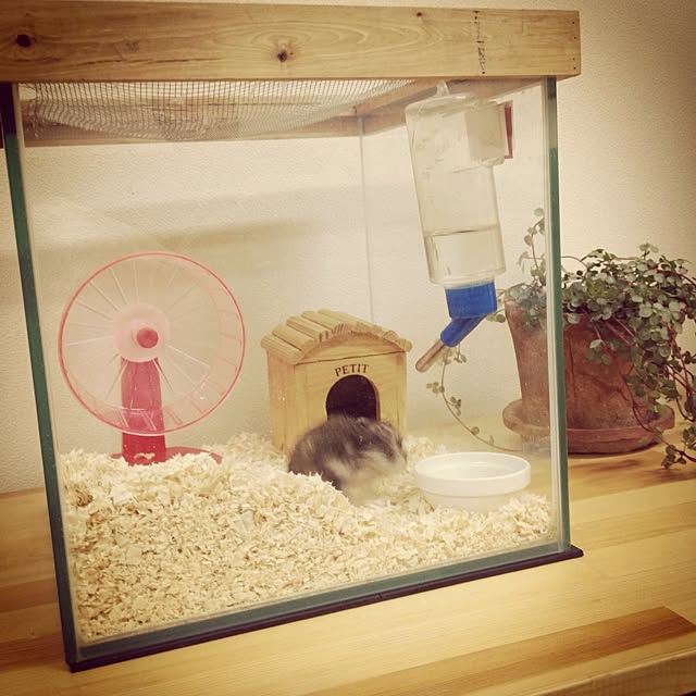 tmさんの実例写真