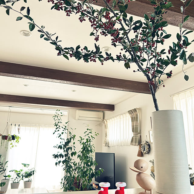 asasouさんの実例写真