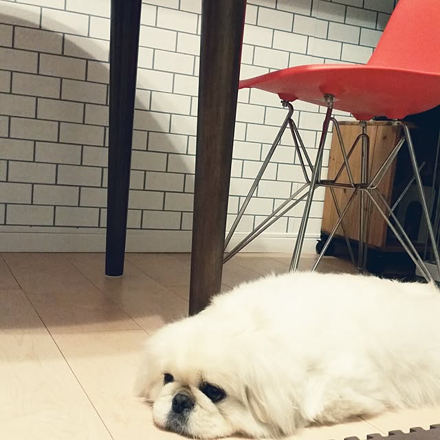 yukagomaさんの実例写真