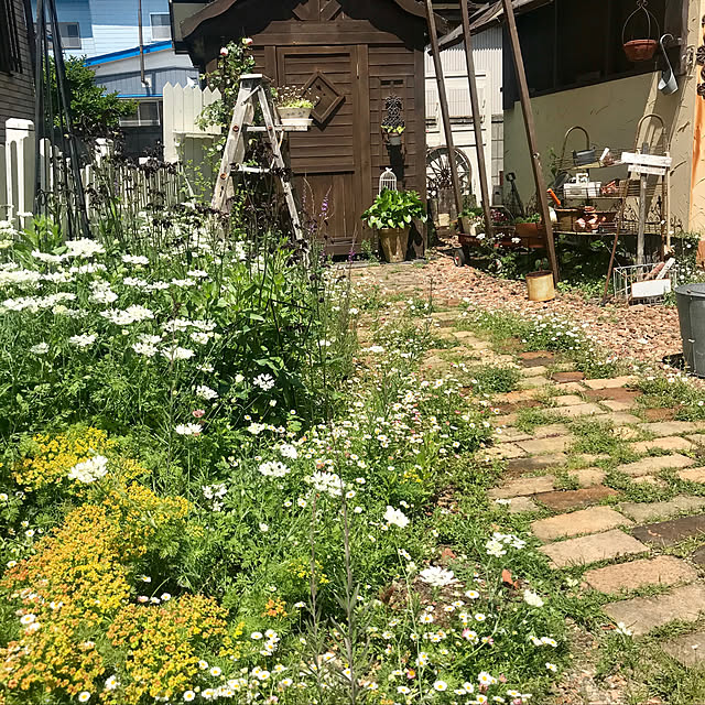 ann.-Yukikoさんの実例写真