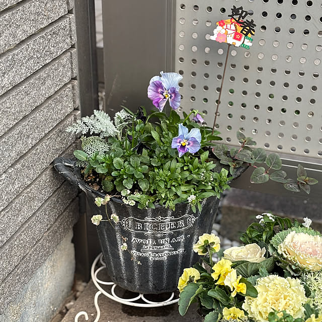 maayaさんの部屋