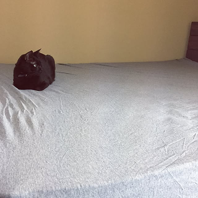 oxmaixoさんの実例写真
