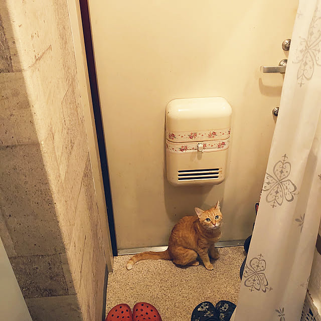 asuminさんの実例写真