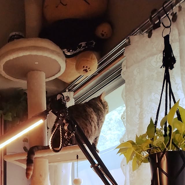 runaさんの部屋