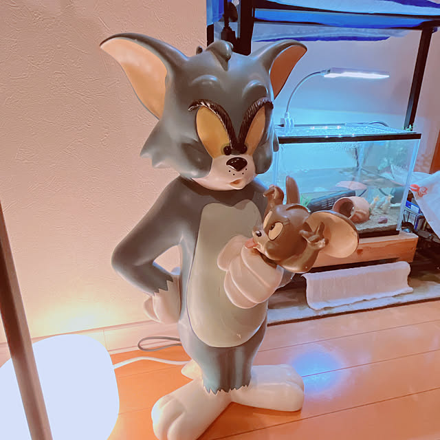 moolさんの部屋
