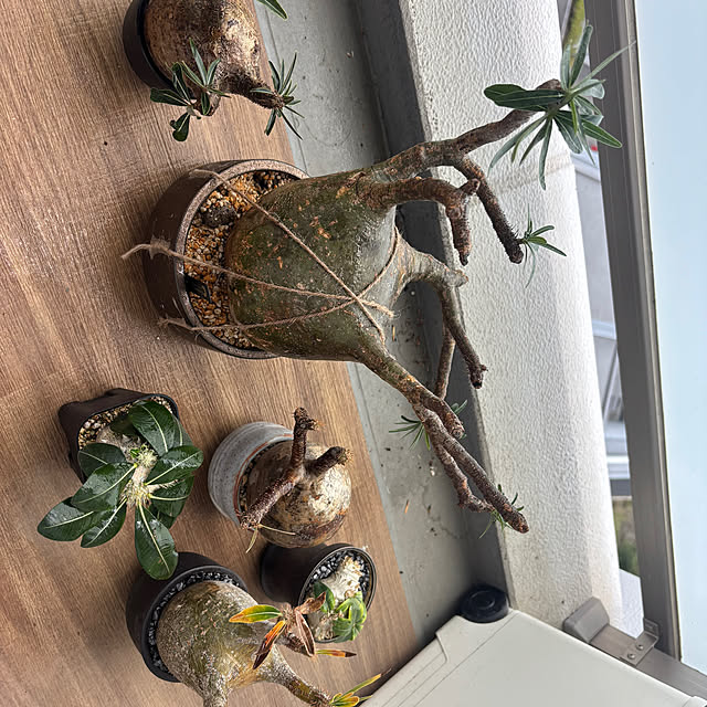 koujiさんの部屋