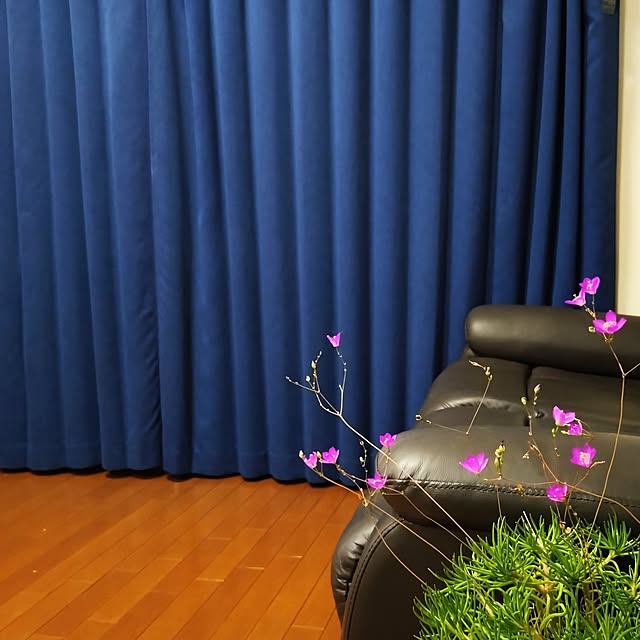 NOAHさんの部屋