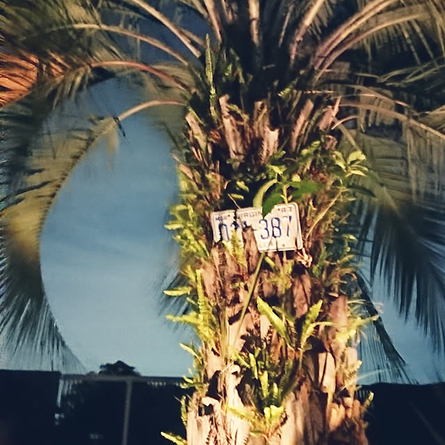 ot-gardenさんの実例写真