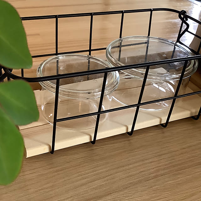 justyさんの実例写真
