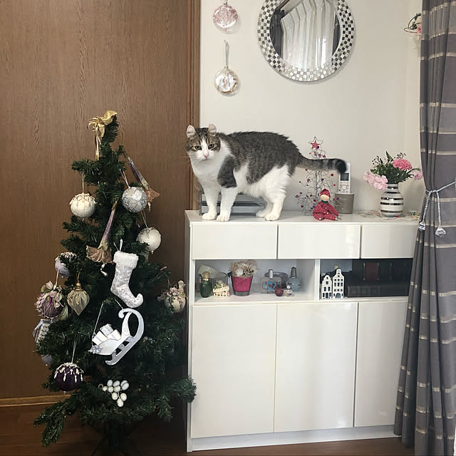 attt_0301.carlさんの実例写真